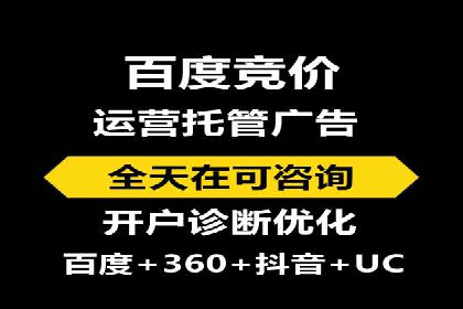 谷歌竞价广告与SEO结合的营销案例解析